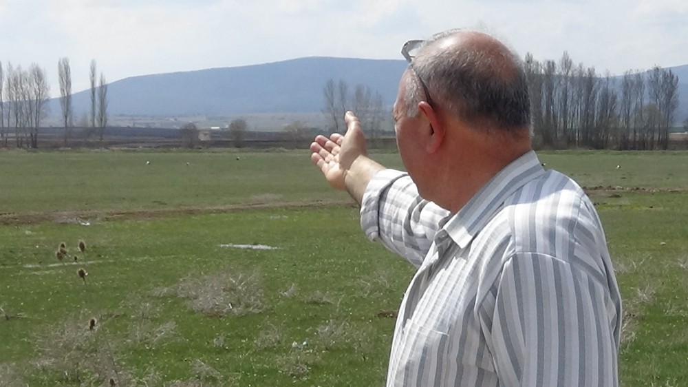 Göç eden Leylekler Aslanapa’da mola verdi 