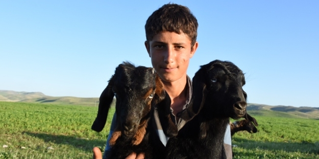 Göçerler, zorlu yayla yolculuğuna hazırlanıyor