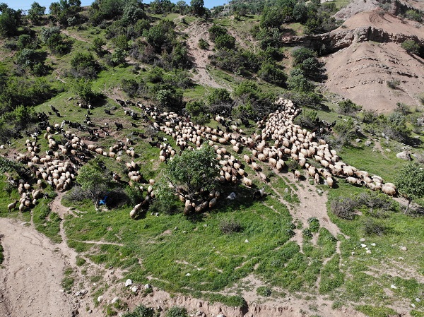 Göçerlerin 5 aylık zorlu süreci başladı