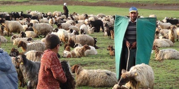 Göçerlerin dönüş yolculuğu başladı