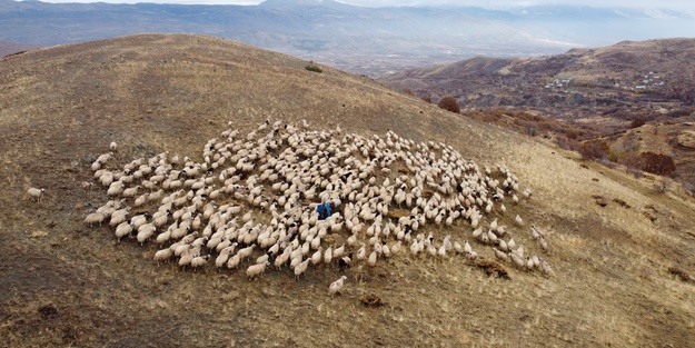 Göçerlerin yayladan zorlu dönüş yolculuğu başladı