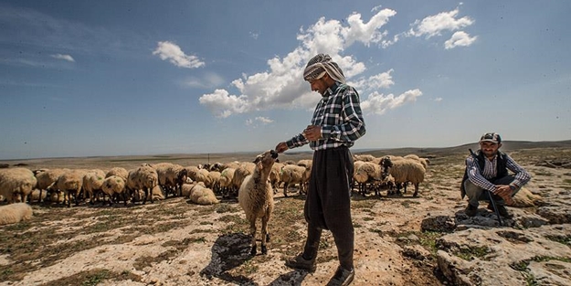 Göçerlerin zorlu yolculuğu başladı