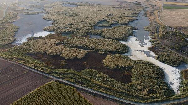 Göçmen kuşlara ev sahipliği yapan Gökgöl kurudu
