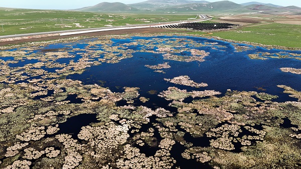 Göçmen kuşların mola yeri: Çalı Gölü