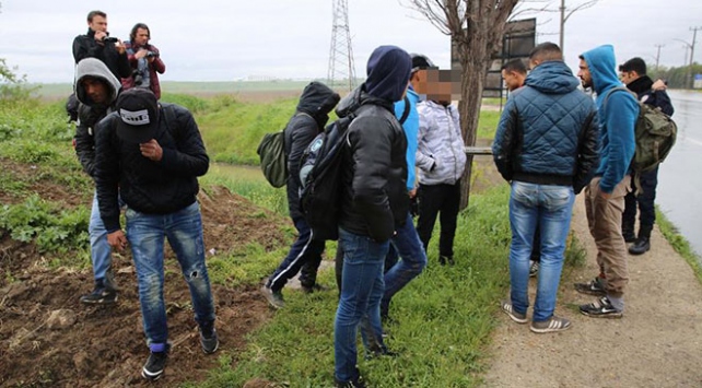 Göçmen operasyonu: 29 kişi yakalandı