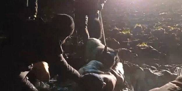 Göçmenlere köpekli zulüm