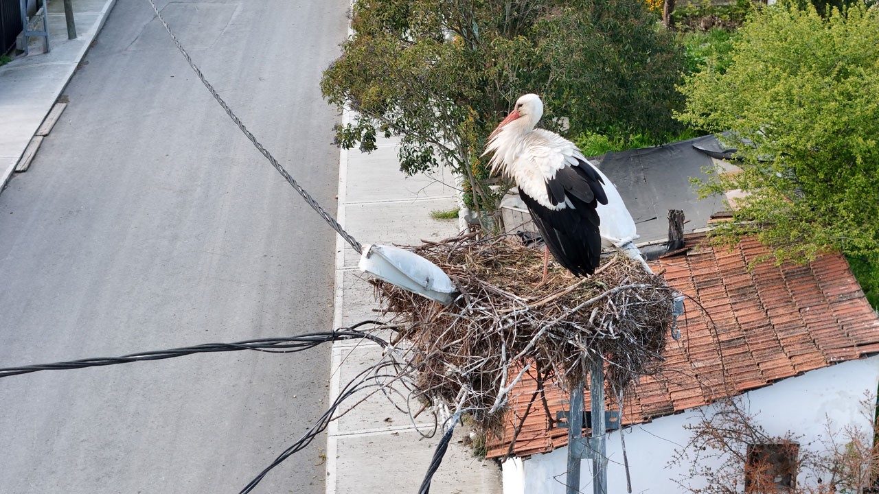 Göçün durağı İstanbul’un leylekli köyü