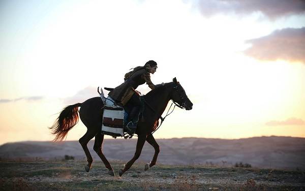 Gök Hanlığı hangi dönemde nerede kuruldu?