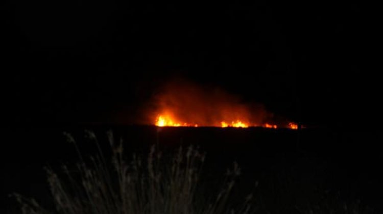 Göksu Deltası'nda yangın