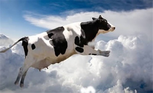 Gökten yağan en tuhaf 10 şey