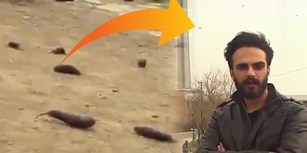 'Gökten yağan patlıcan' videosu olay olmuştu... Videoyu yayan öğrenciler gözaltına alındı