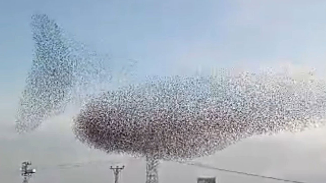 Gökyüzünde hayran bırakan dans!