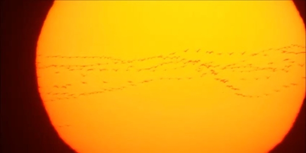 Gökyüzüne bakan hayran kaldı!