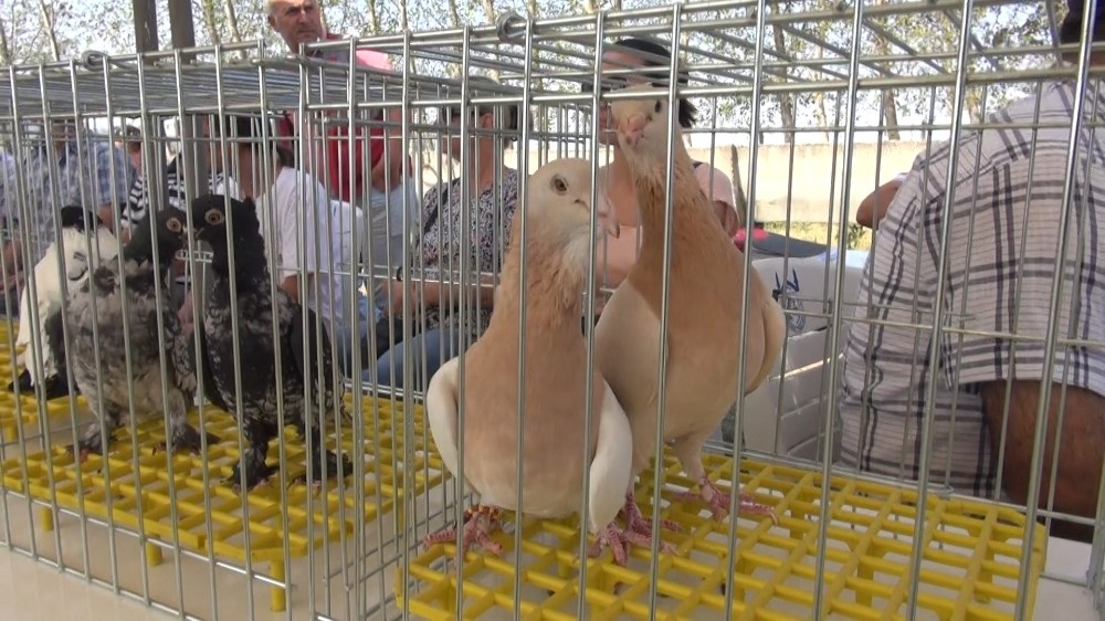 Gökyüzünün efsâne kanatları hünerlerini sergileyecek 
