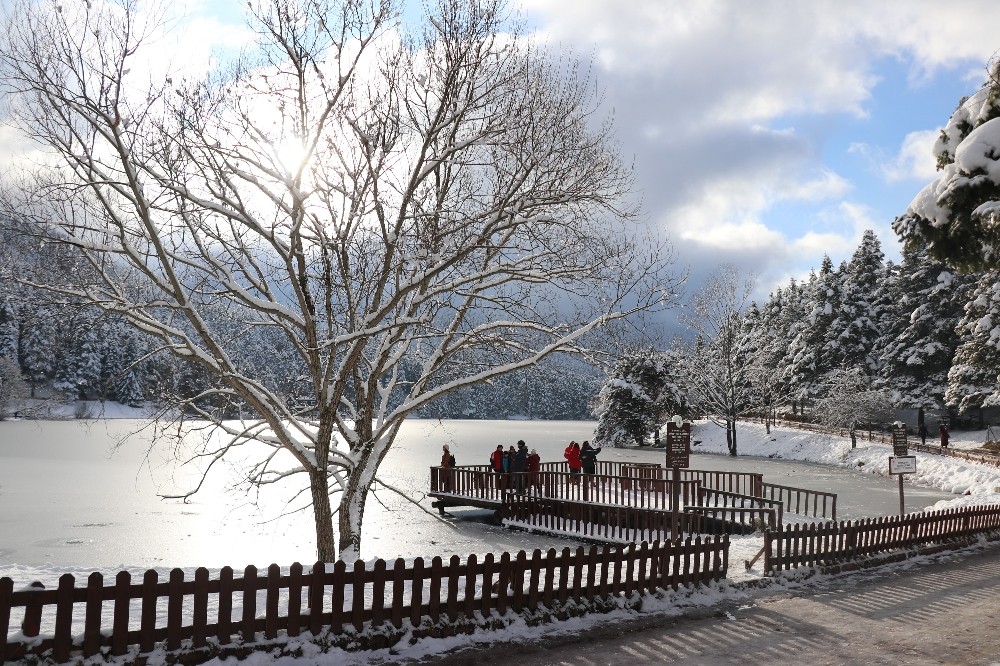 Gölcük Tabiat Parkı’ndaki göl buz tuttu 