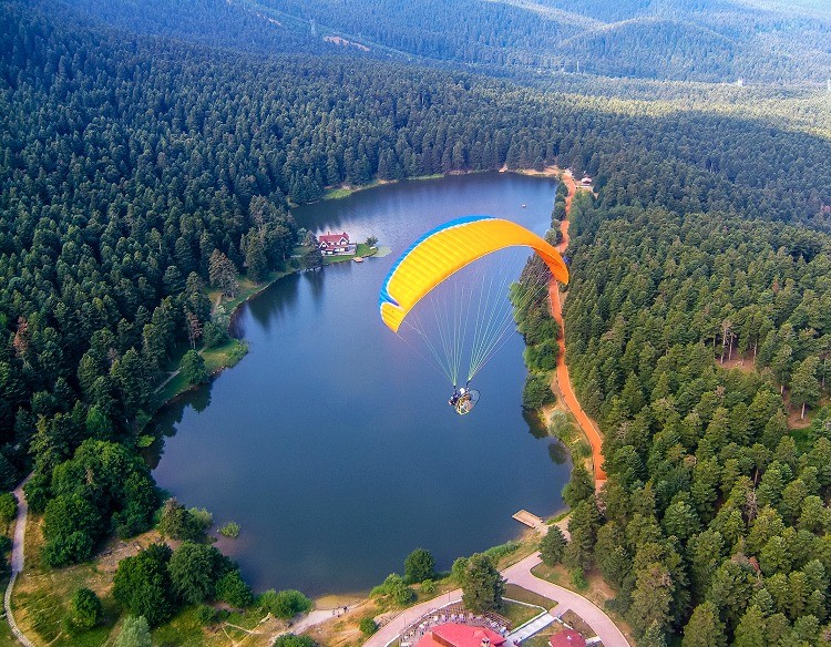 Gölcük’te orman parkları kiraya veriliyor