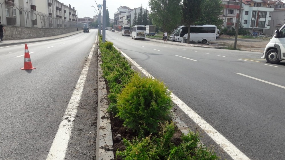 Gölcük’te yollar yeşille buluşuyor 