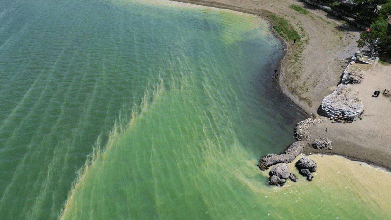 Gölde korkutan manzara! Doğal yaşamı tehdit ediyor!