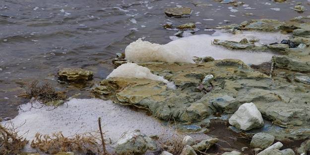 Gölde şaşırtan görüntü