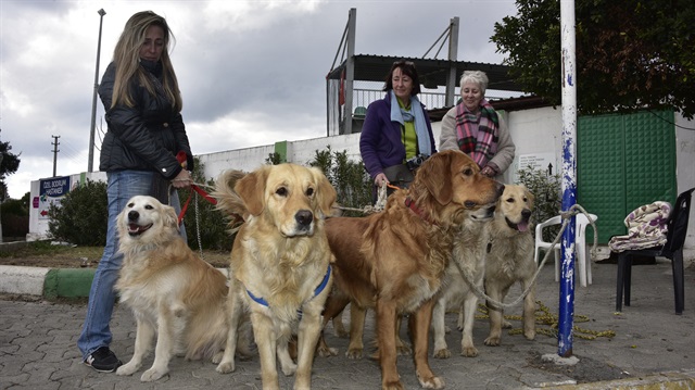 'Golden çetesi' İstanbul'da