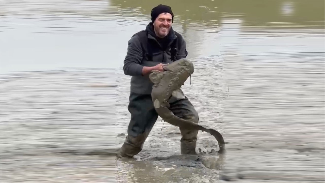 Göletteki su bir anda kayboldu! Sakarya’da balıklar açıkta kaldı