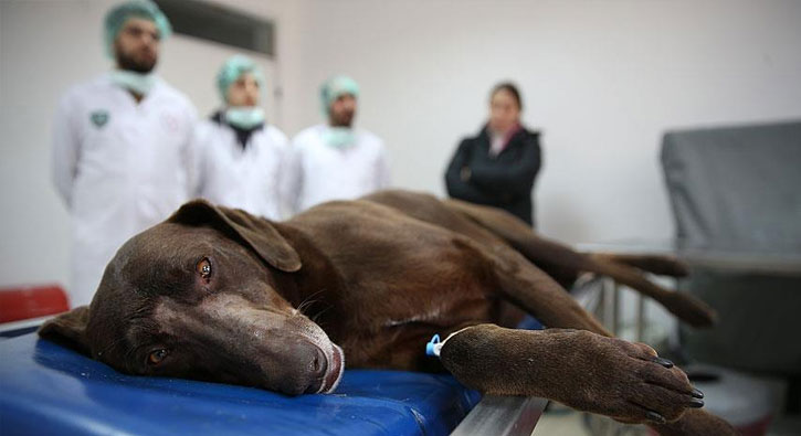 'Gölge'nin burnundaki tümör alındı