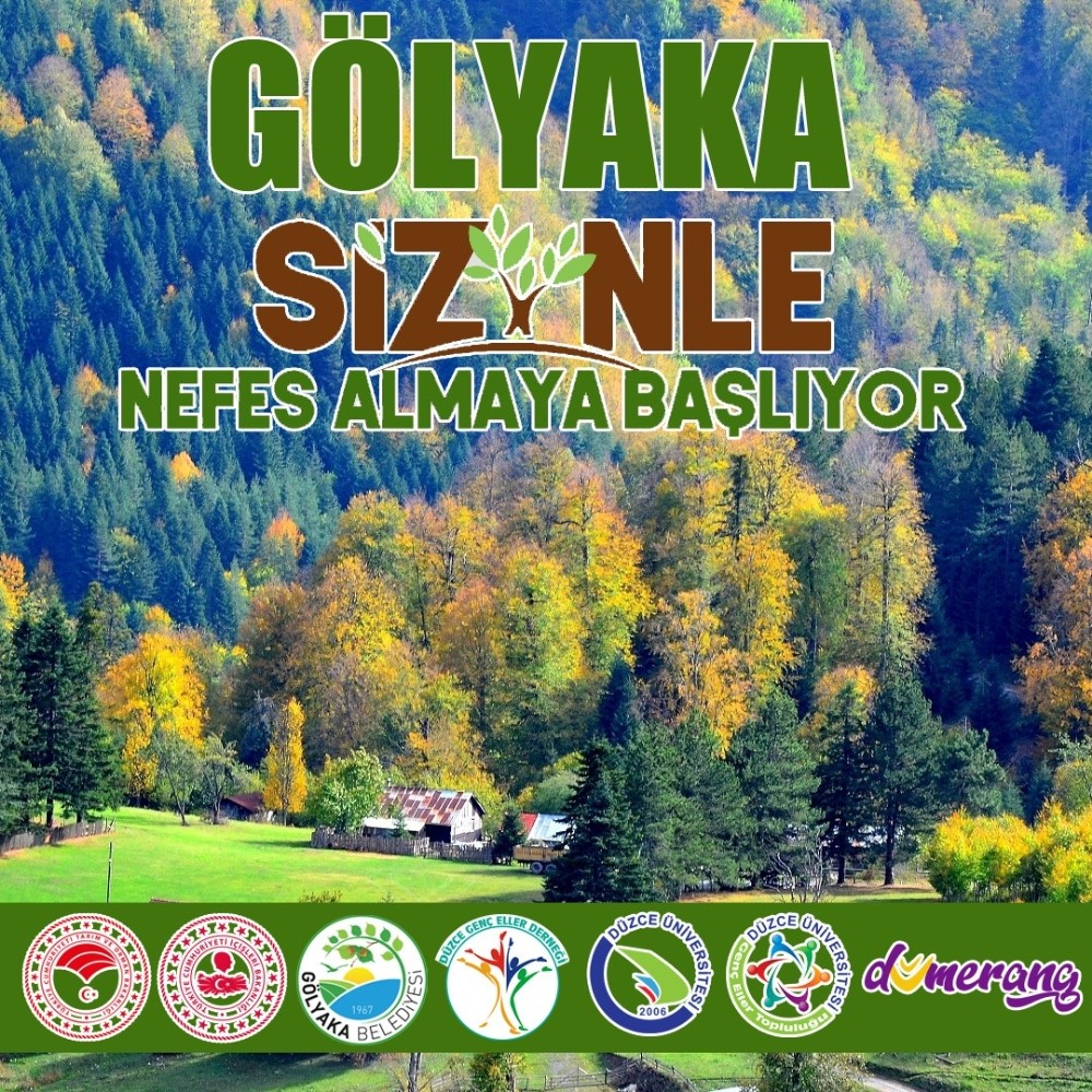 Gölyaka’ya 1111 adet ıhlamur dikilecek 