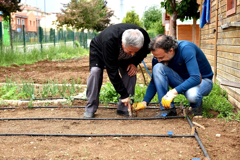 ’Gönül Bahçeleri’nde üretimin hazzını yaşıyorlar 