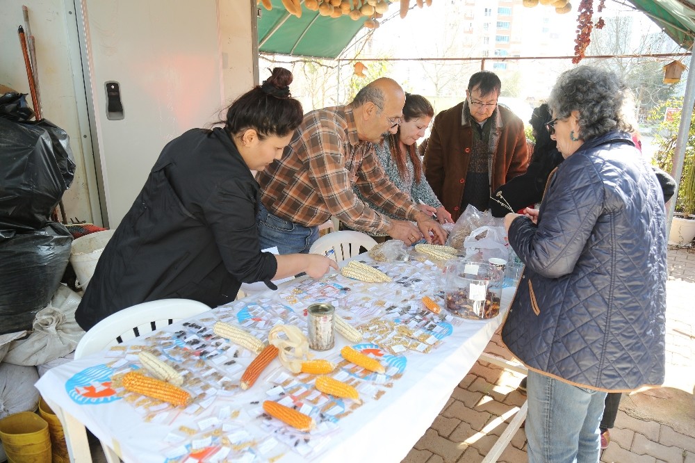 Gönüllü Serasında Tohum Takas Şenliği yapıldı 