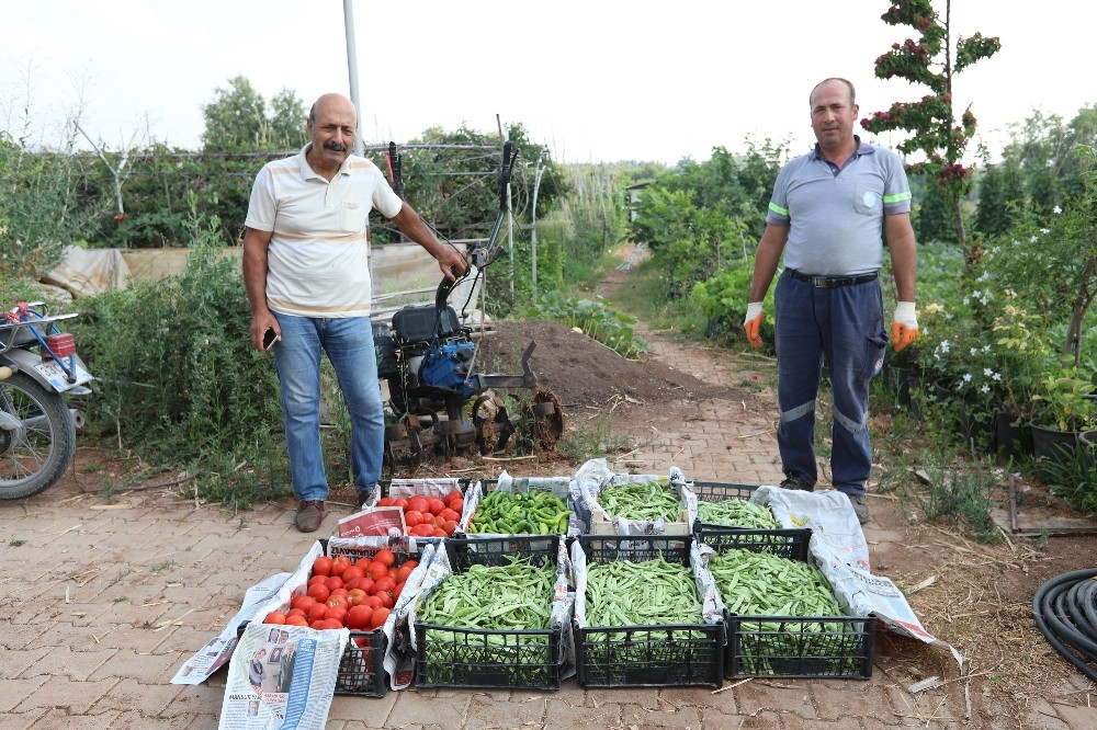 Gönüllü serasında üretilen ürünlerle, ihtiyaç sahiplerine yemek yapılıyor 