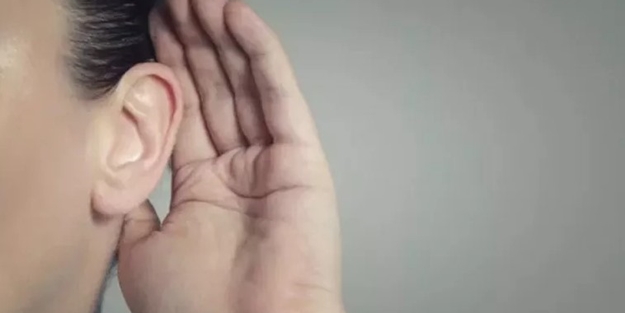 Google'a Wolverine geliyor