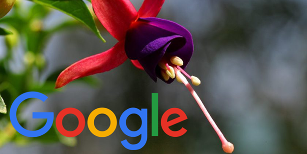 Google'dan yeni işletim sistemi geliyor
