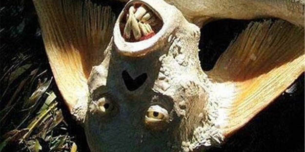 Gördüğünüz her şeye inanmayın!