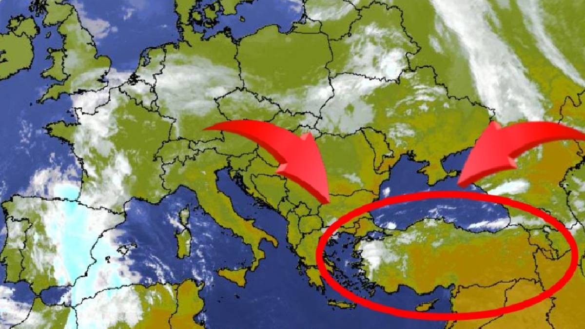 Gördüğünüz yerde vurun! Asya üzerinden sürüyle geliyorlar: Aman dikkat, bir ısırığı bile hayatınızı karartabilir