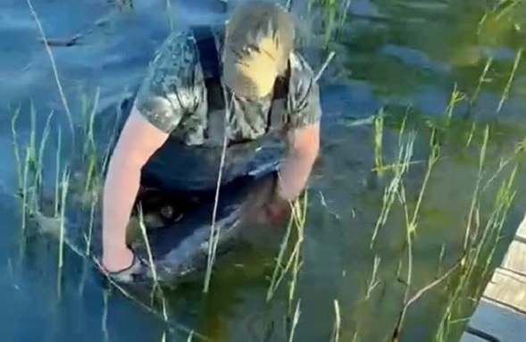 Gören ne yaptığını anlayamadı! Tam 24 kg ağırlığında