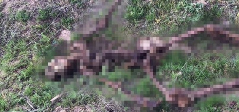 Gören polise koştu! Sadece kemikleri kalmış