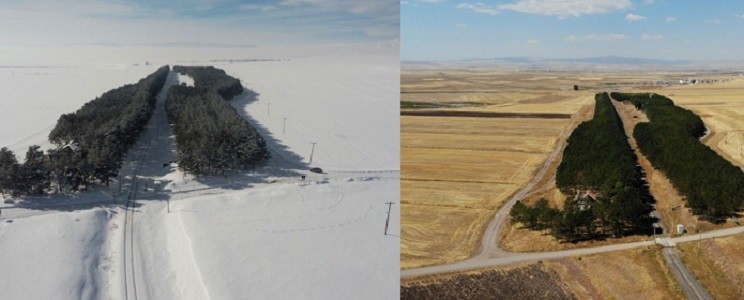 Gören tekrar bakıyor! Herkesi kendine hayran bırakan yer Türkiye'de