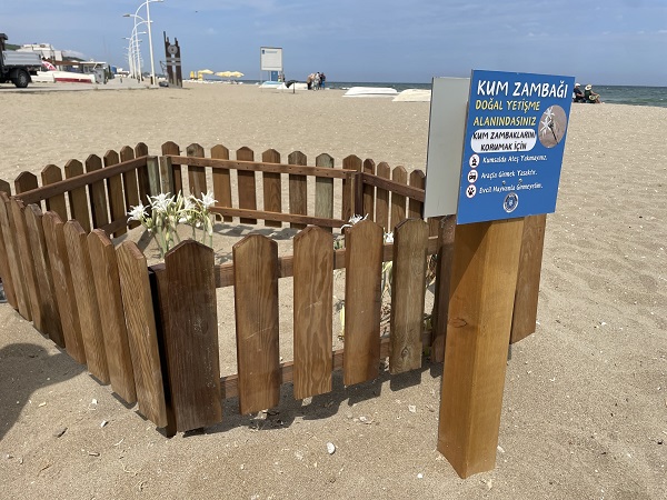 Görenler anlam vermeye çalıştı! Bakın kumsalı neden bu hale getirdiler!