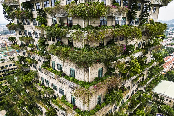 Görenler bakmaya doyamıyor | Ev değil sanki orman