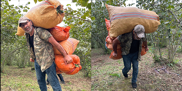 Görenler gözlerine inanamadı! Bu çuvalların bir tanesi tam 50 kg