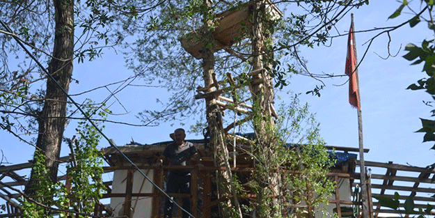 Görenler gözlerine inanamıyor, ağaçların dallarında meyve değil tabut var