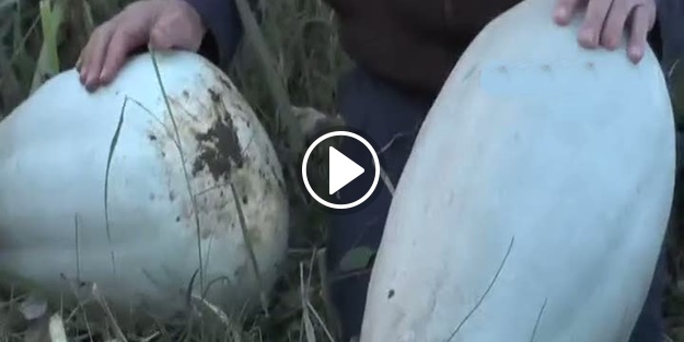 Görenler gözlerine inanamıyor! Tam 20 kilo...