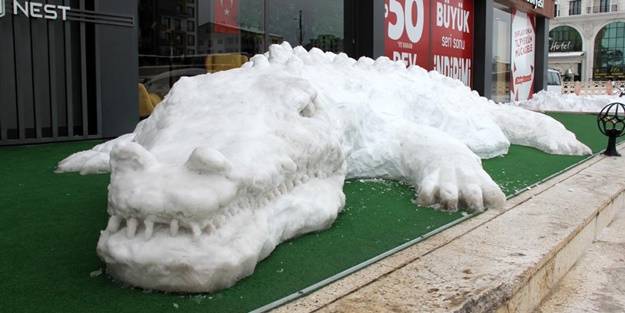 Görenler hayran kaldı