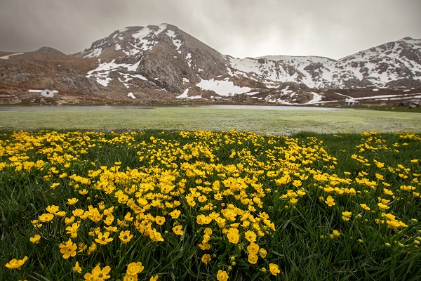 Görenler hayran kalıyor! Bu fotoğraflar Alp Dağları'ndan değil Türkiye'den