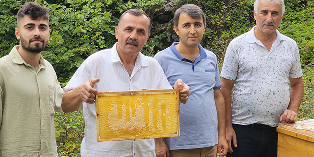 Görenler hayrete düştü! Arılar peteğe Allah yazdı