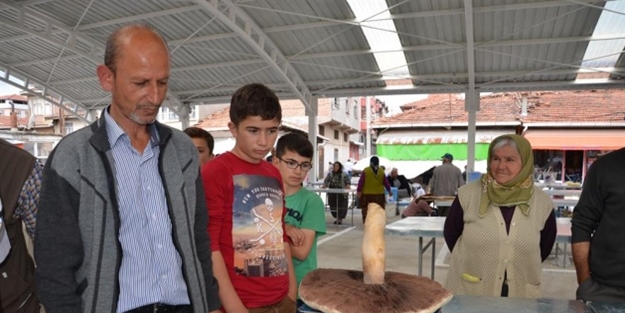 Görenler hayrete düştü - FOTO