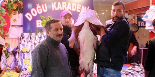 Görenler hayrete düştü!