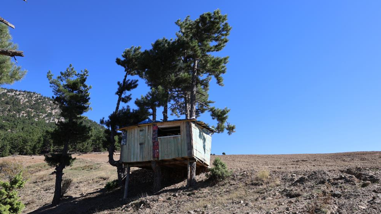 Görenler hayrete düşüyor! Böyle ev görülmedi