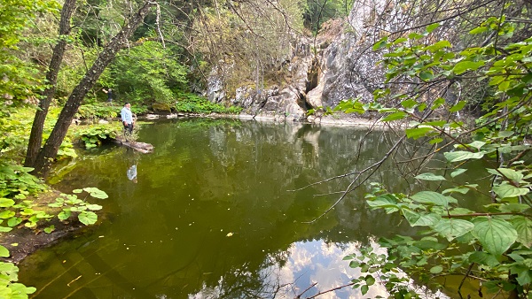 Görenler mest oluyor! Ağaçlar arasındaki saklı gölet keşfedilmeyi bekliyor