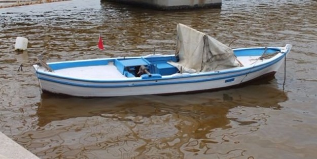 Görenler şaşkına döndü, meğerse...